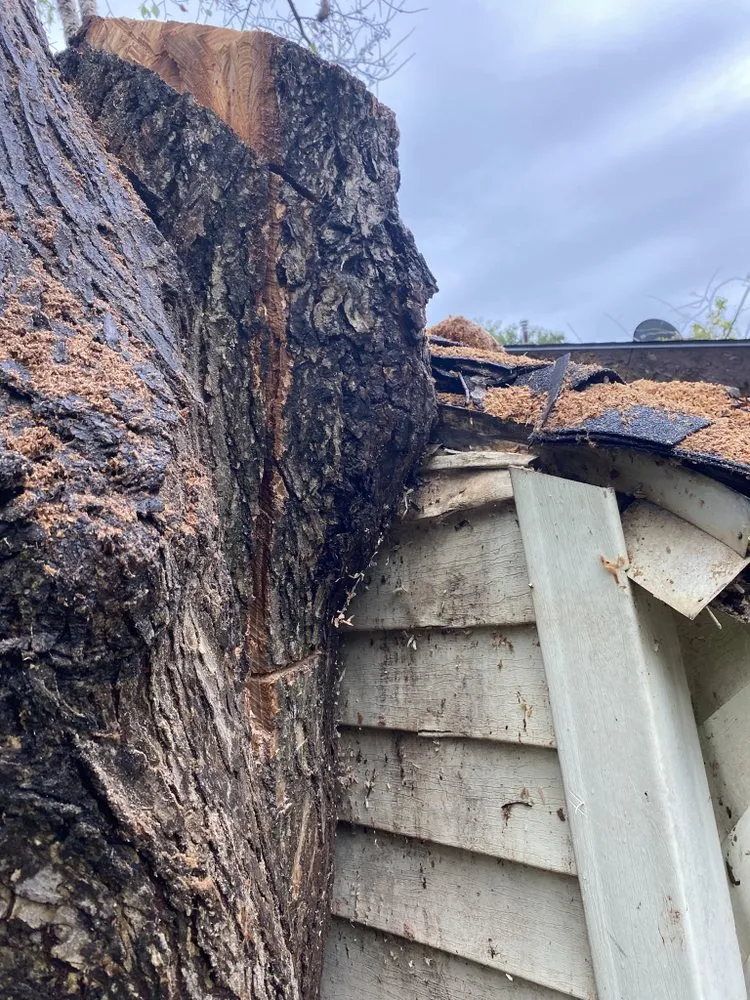 Local garden landscaping experts serving Miami, OK - Joniahs Tree Service