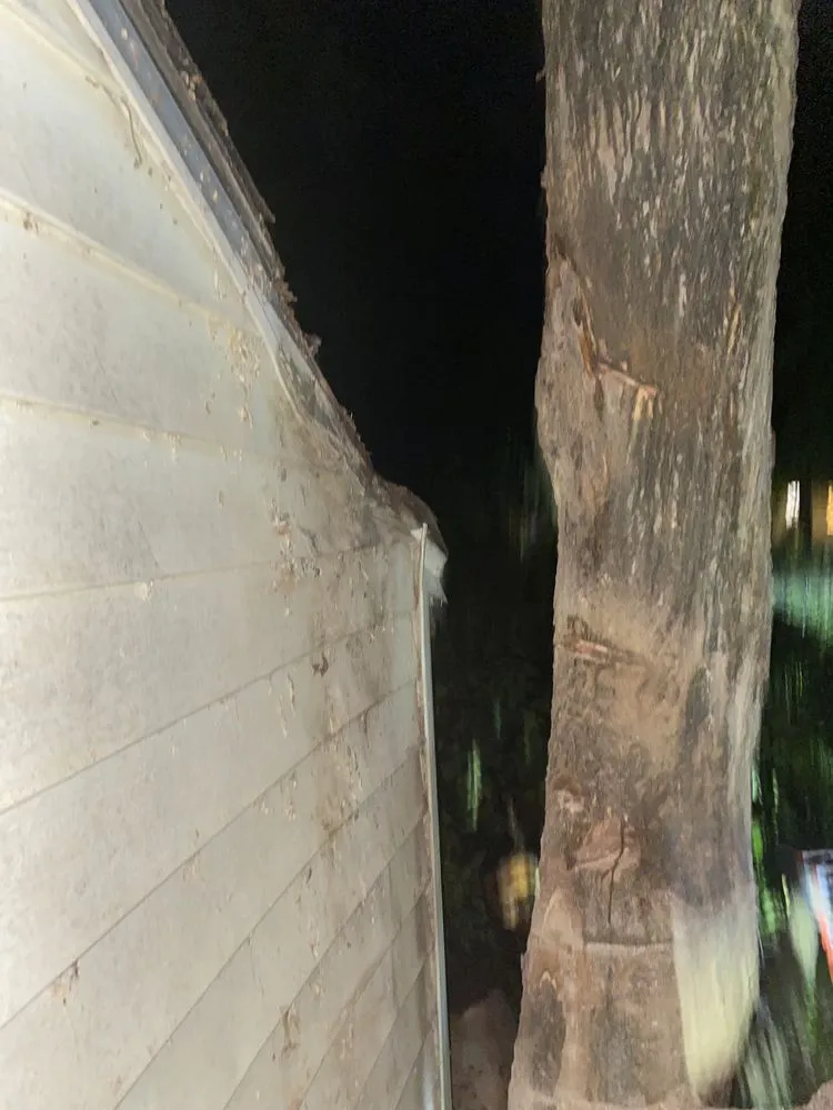 Reliable landscaping services in Miami, OK - Joniahs Tree Service