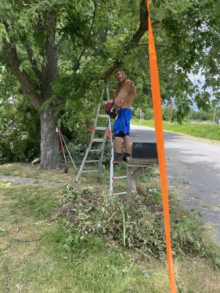 Expert yard maintenance for residential properties across Miami, OK - Joniahs Tree Service