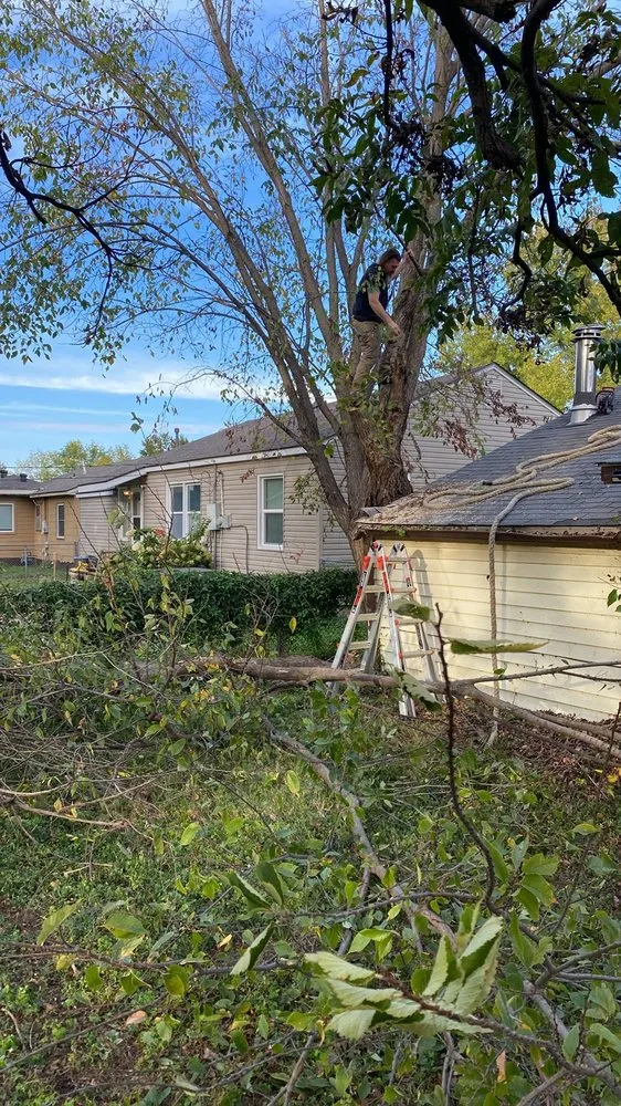 Top-rated landscaping services for homes across Miami, OK - Joniahs Tree Service