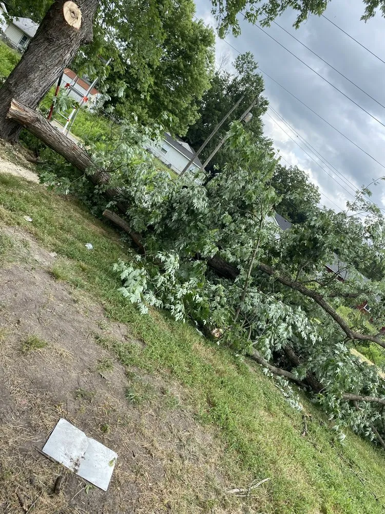 Local yard maintenance in Miami, OK by Joniahs Tree Service