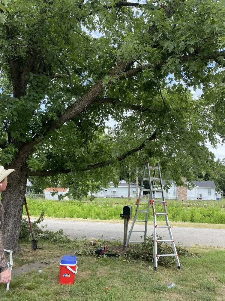 Professional residential landscaping in Miami, OK by Joniahs Tree Service