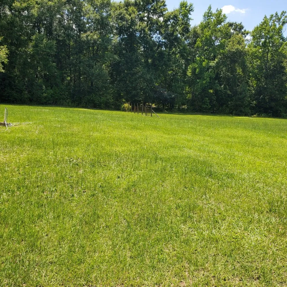 Local lawn mowing service in Cochran, GA - Jonjon Unlimited