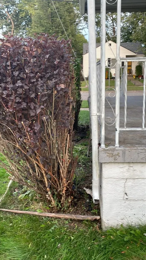 Top-rated landscape installation experts serving Burton, MI - Jonnies lawn care and property maintenance