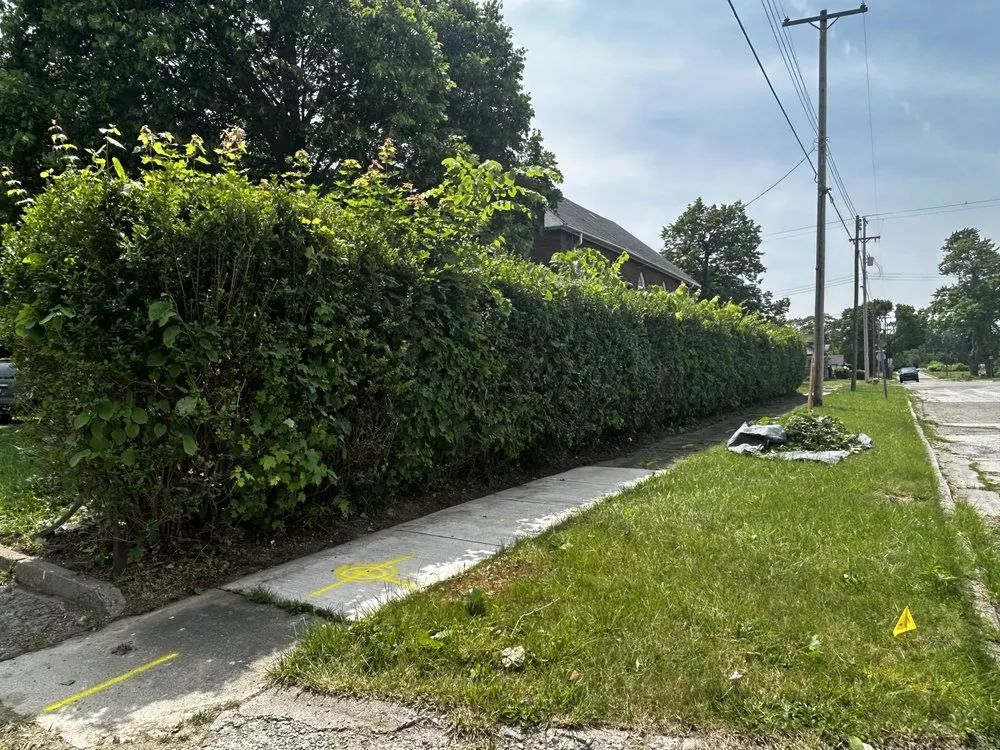 Trusted landscape design experts serving Burton, MI - Jonnies lawn care and property maintenance