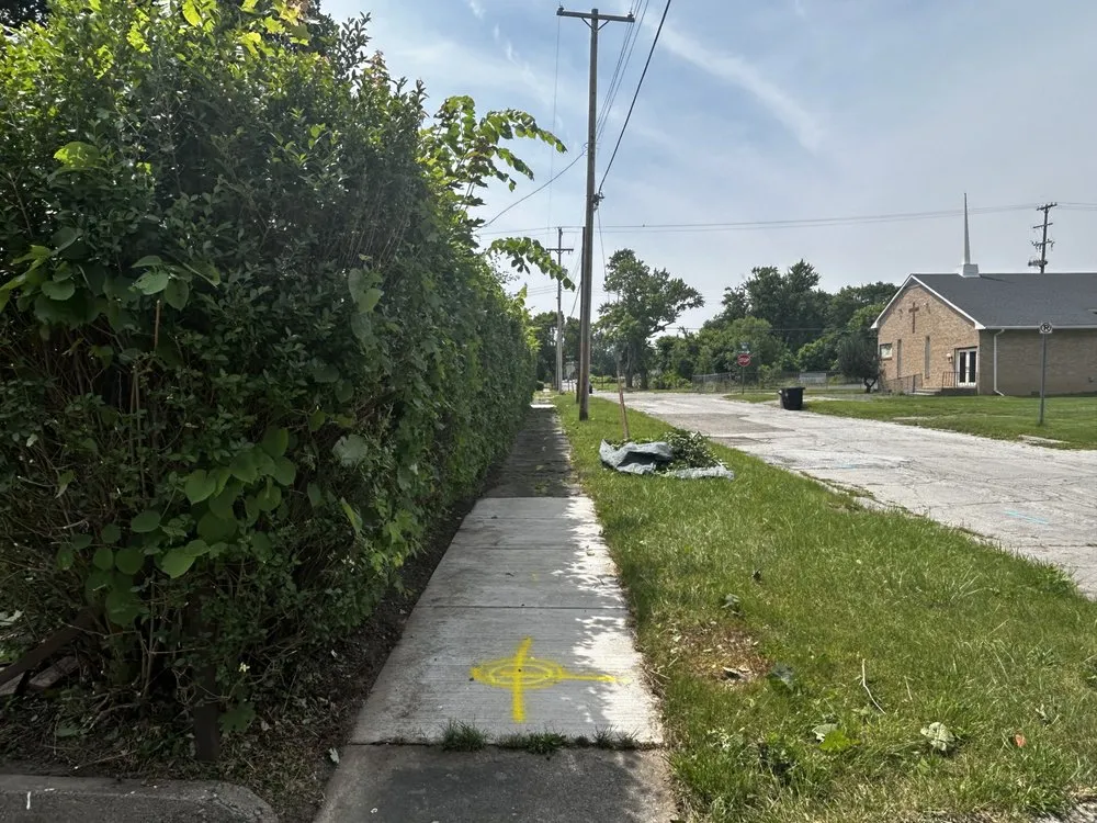 Trusted yard cleanup service in Burton, MI by Jonnies lawn care and property maintenance