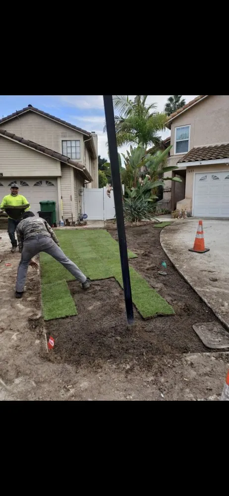 Professional yard cleanup service for homes across Vista, CA - Jonny G Landscape