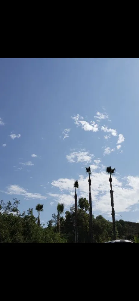 Professional yard maintenance in Vista, CA by Jonny G Landscape