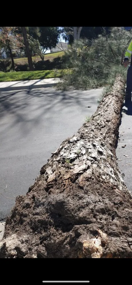 Reliable outdoor landscaping for outdoor upgrades across Vista, CA - Jonny G Landscape