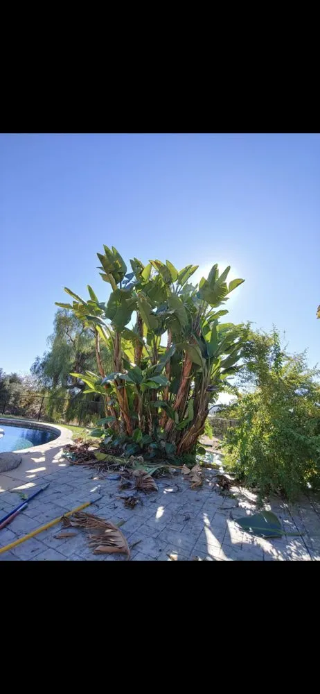 Expert landscape installation for homes in Vista, CA by Jonny G Landscape