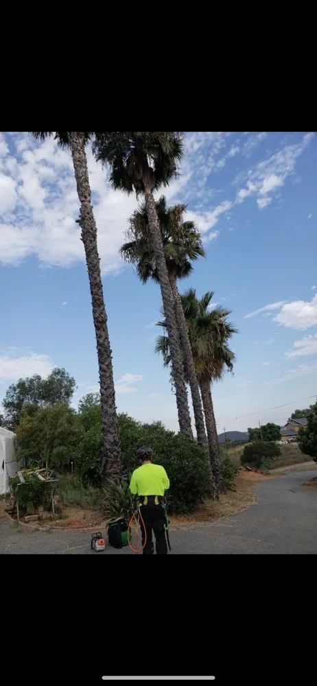 Reliable lawn mowing service in Vista, CA by Jonny G Landscape