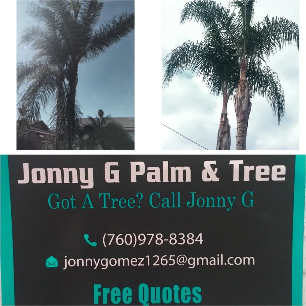 Reliable landscaping services in Vista, CA - Jonny G Landscape