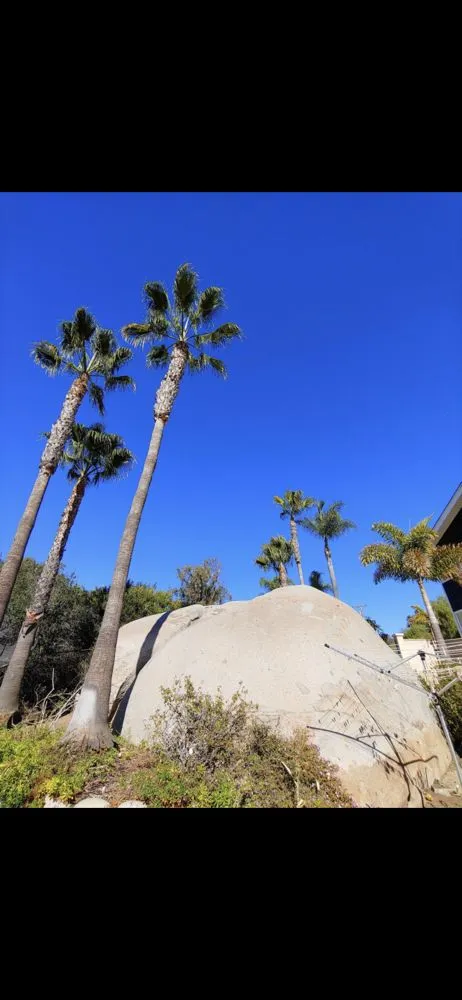 Reliable lawn care service in Vista, CA - Jonny G Landscape