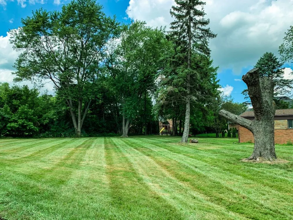 Affordable lawn care service in Birmingham, MI by Jonny G Lawn Care