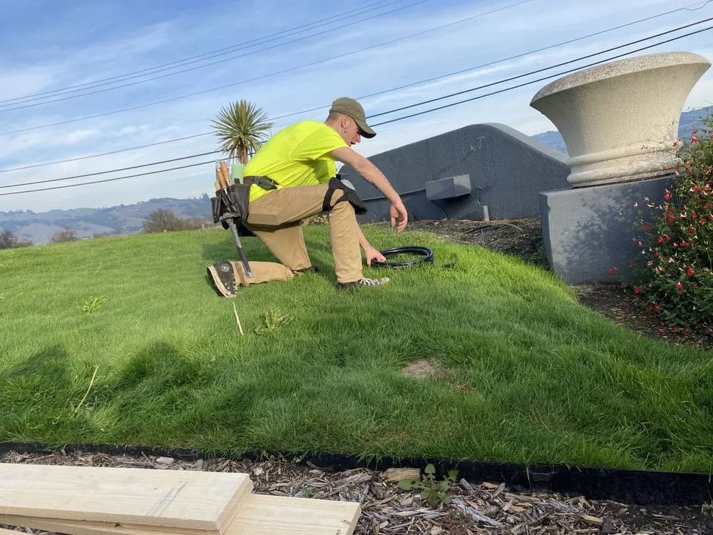 Affordable landscaping services in Santa Rosa, CA - Jonny Lawns