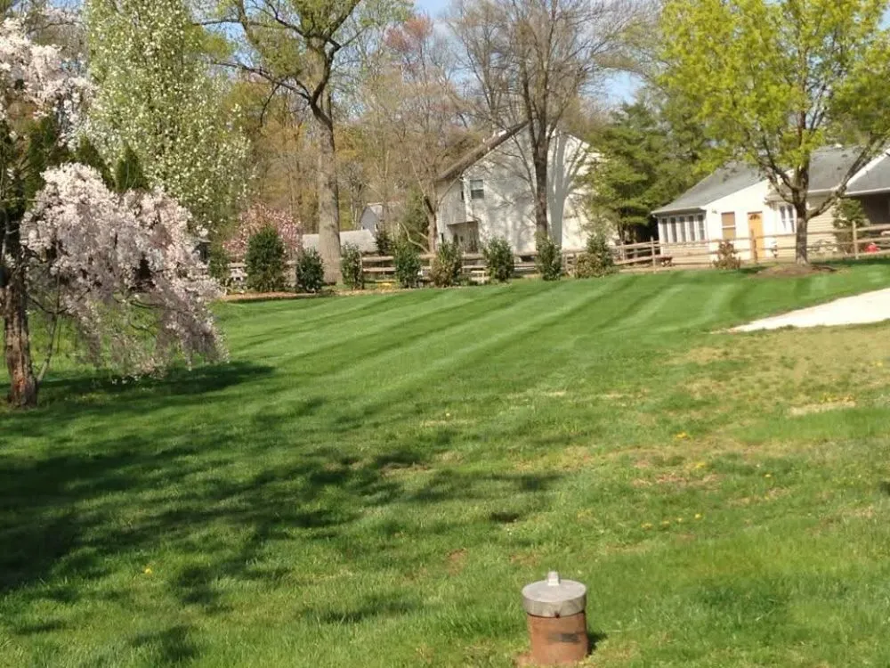 Top-rated garden landscaping in Holiday, FL - Jonny's Coastal Landscaping