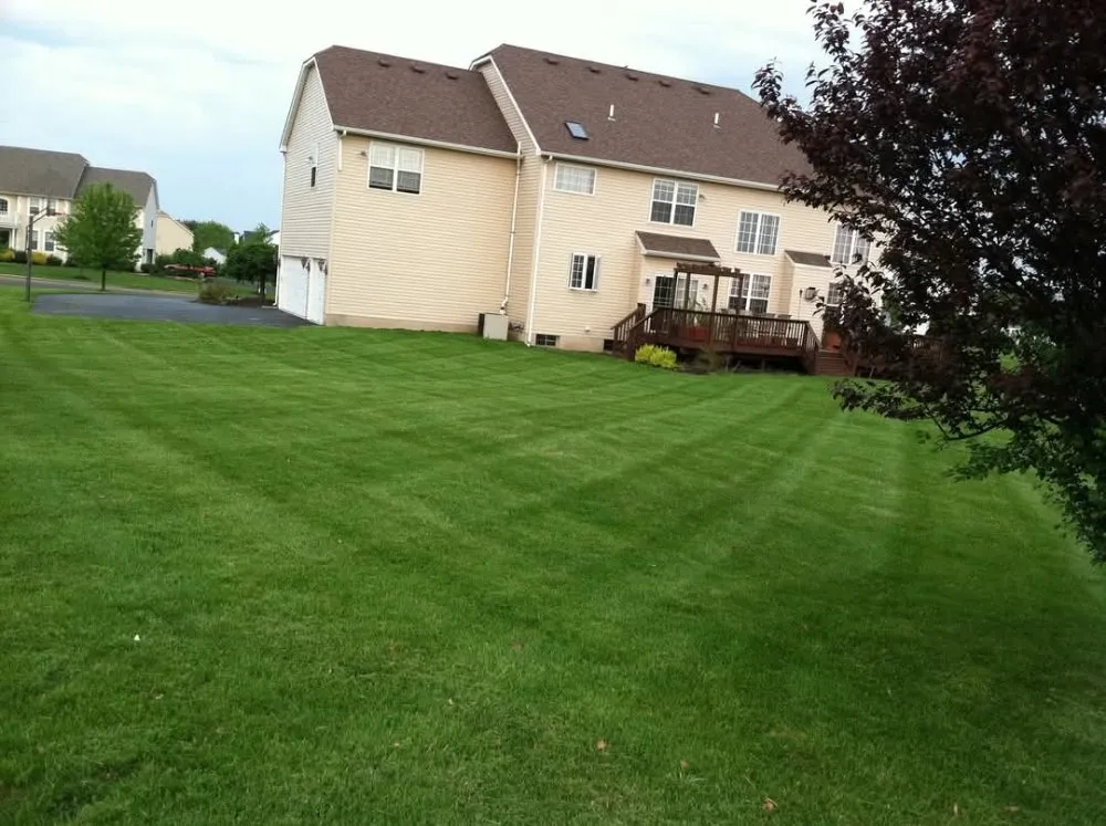 Custom residential landscaping in Holiday, FL by Jonny's Coastal Landscaping