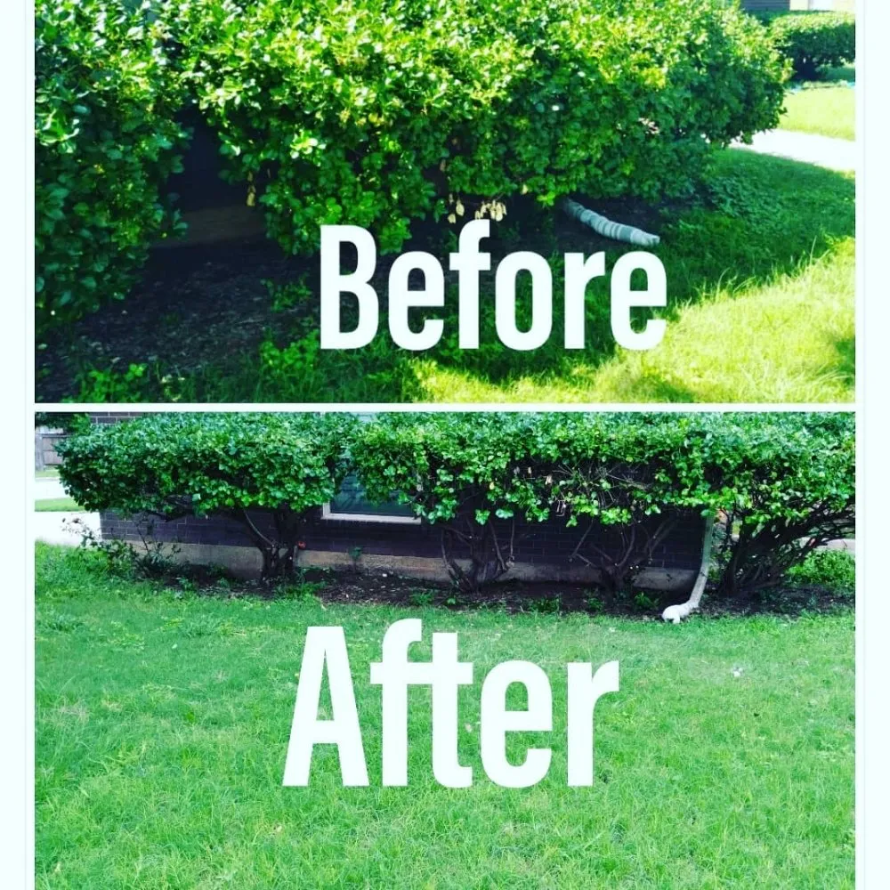 Custom yard maintenance for beautiful yards in Abilene, TX by Jonny's Lawn Flowerbed & Garden Solutions