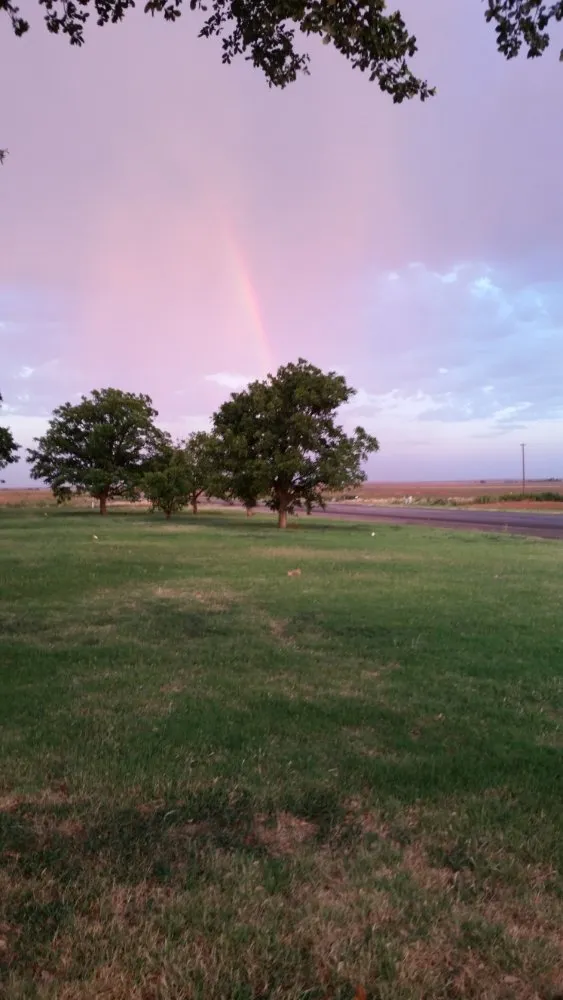 Top-rated landscape design in Abilene, TX by Jonny's Lawn Flowerbed & Garden Solutions
