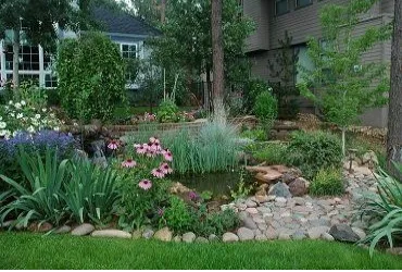 Top-rated landscape design for beautiful yards in Prescott, AZ by Jonny's Spray Solutions