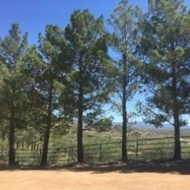 Affordable garden landscaping in Prescott, AZ - Jonny's Spray Solutions