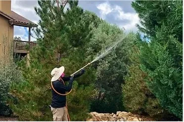Custom yard cleanup service experts serving Prescott, AZ - Jonny's Spray Solutions