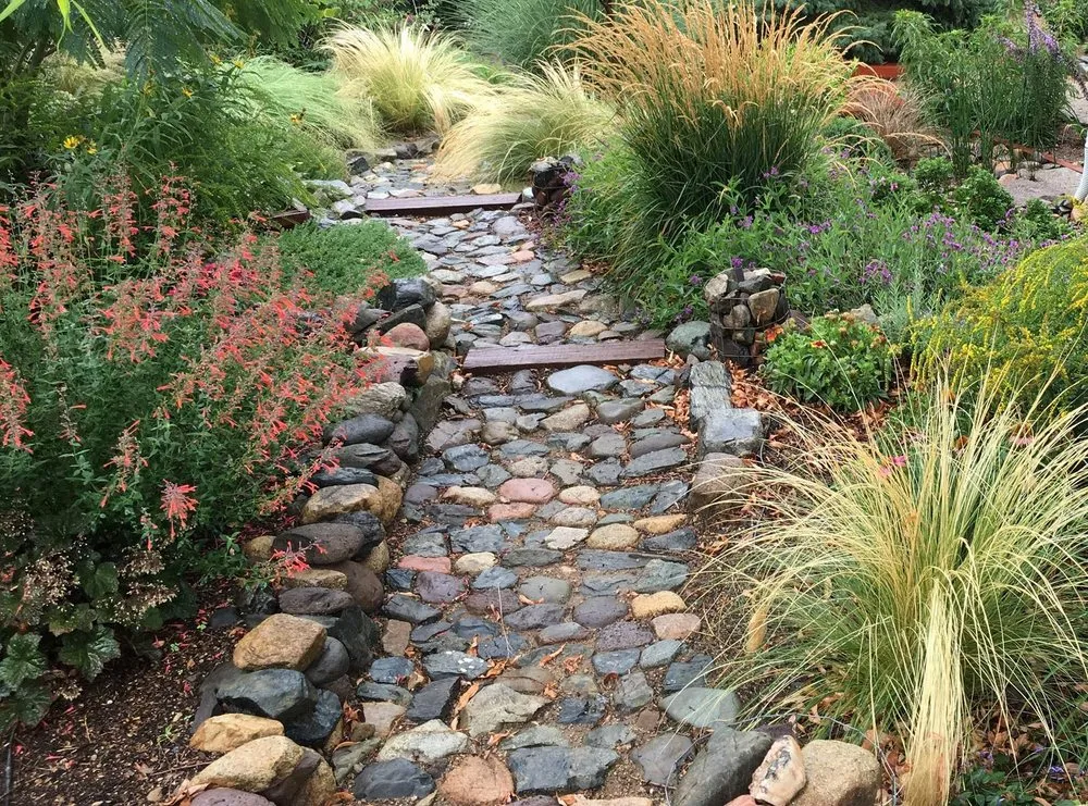 Trusted yard maintenance in Prescott, AZ by Jonny's Spray Solutions