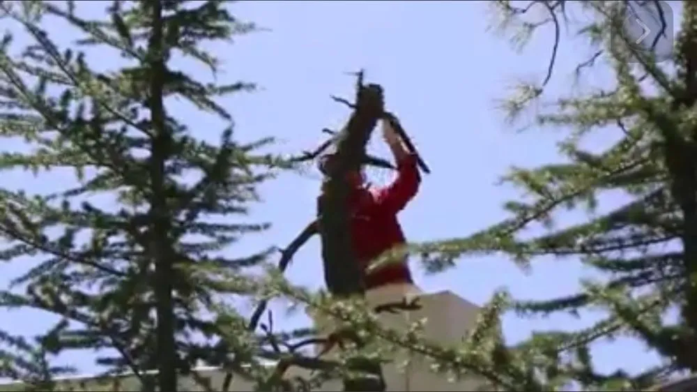 Expert landscaping services in Prescott, AZ by Jonny's Tree and Landscaping Co