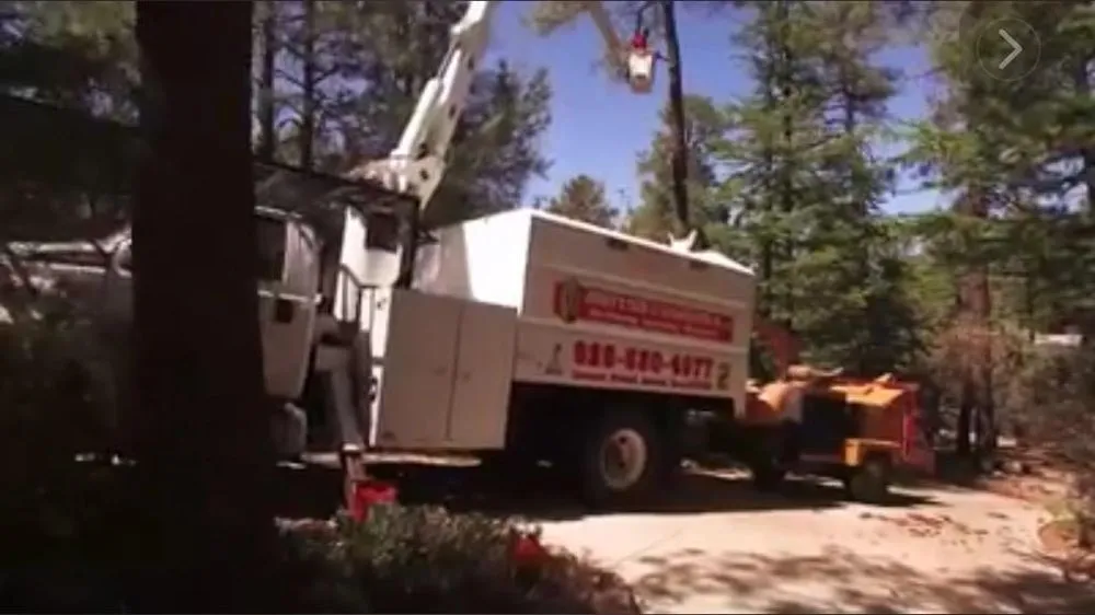 Professional yard cleanup service in Prescott, AZ by Jonny's Tree and Landscaping Co