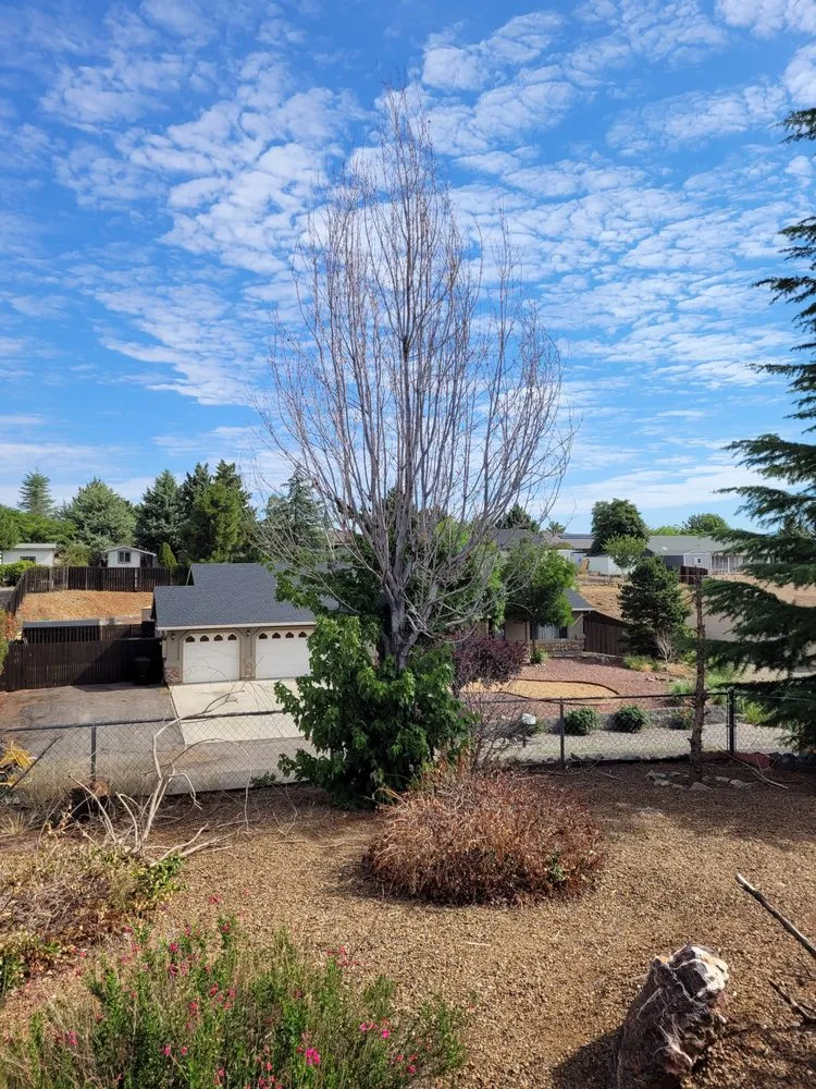 Local garden landscaping for outdoor upgrades in Prescott, AZ by Jonny's Tree and Landscaping Co