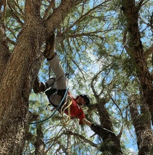 Professional outdoor landscaping in Prescott, AZ by Jonny's Tree and Landscaping Co