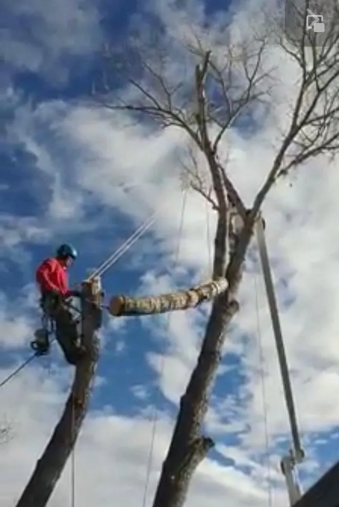 Affordable outdoor landscaping in Prescott, AZ - Jonny's Tree and Landscaping Co