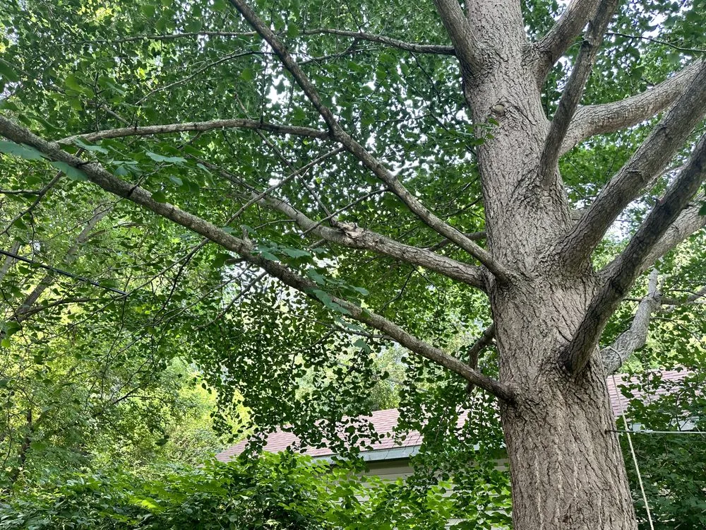 Reliable garden landscaping experts serving Rockford, IL - Jon’s And Dom’s Lawn Service