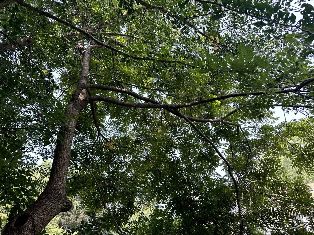 Professional garden landscaping in Rockford, IL - Jon’s And Dom’s Lawn Service