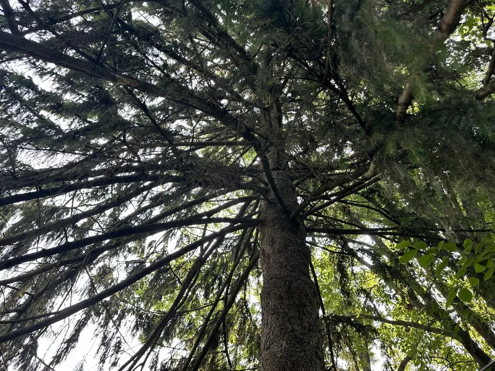 Local landscape design for year-round maintenance in Rockford, IL by Jon’s And Dom’s Lawn Service