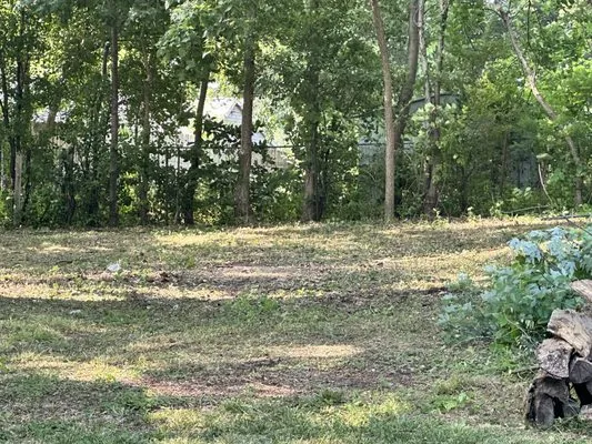 Jon’s And Dom’s Lawn Service Logo