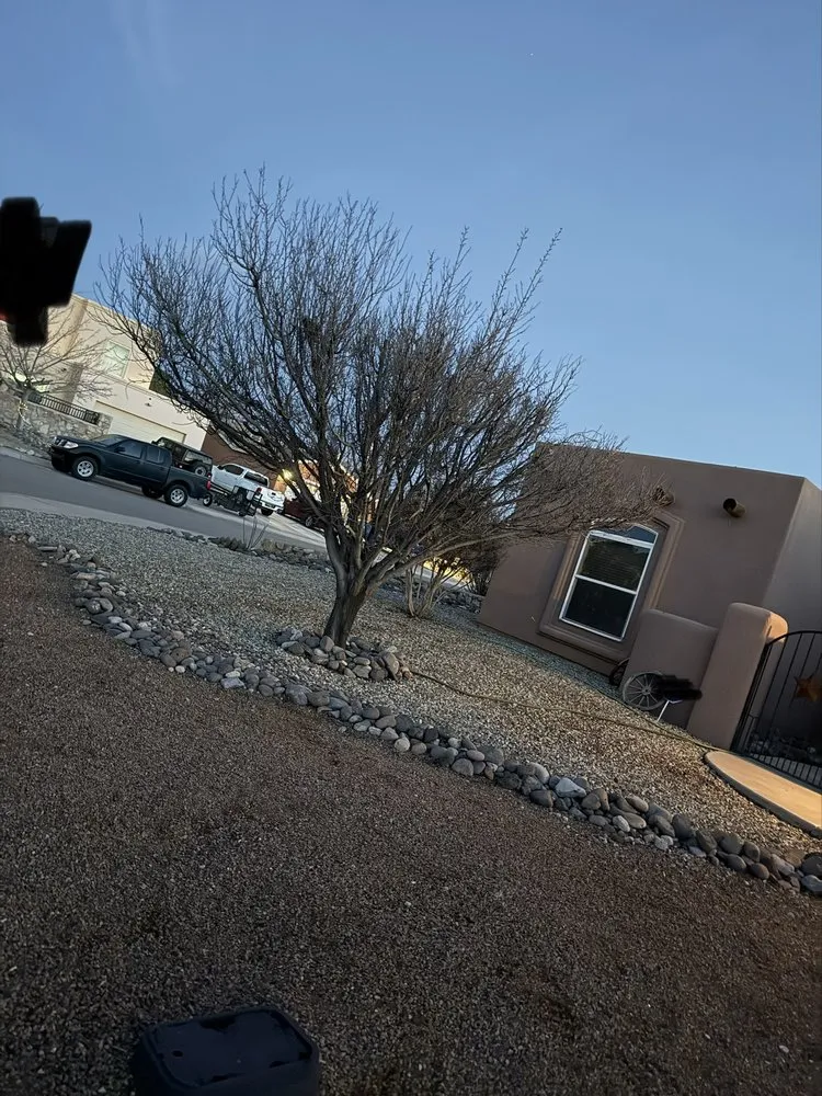 Reliable yard maintenance for beautiful yards across Las Cruces, NM - Jons Handy Service