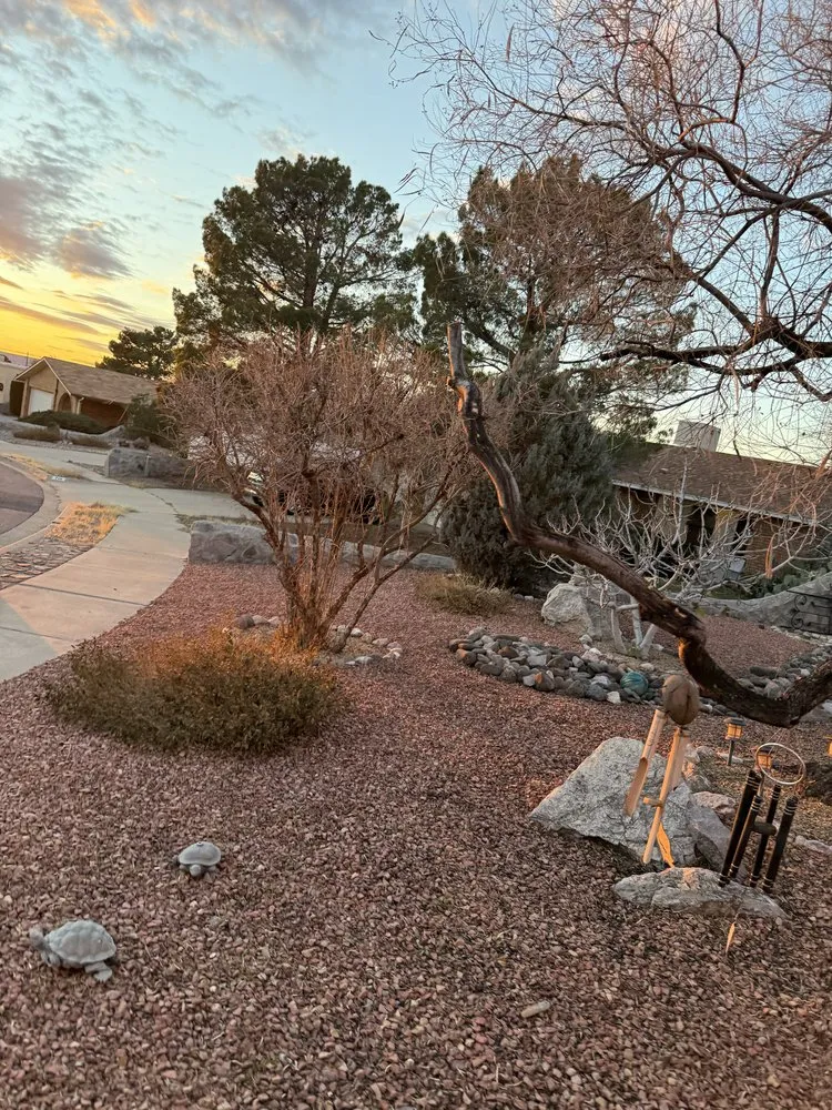 Top-rated landscape installation experts serving Las Cruces, NM - Jons Handy Service