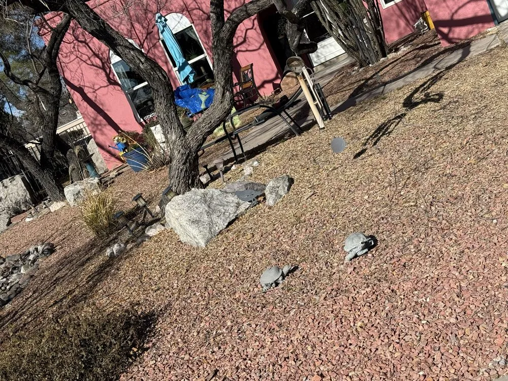 Expert yard maintenance experts serving Las Cruces, NM - Jons Handy Service