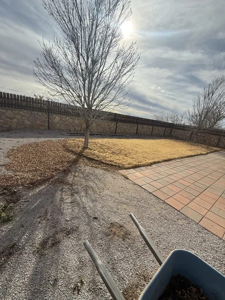 Affordable outdoor landscaping for year-round maintenance in Las Cruces, NM by Jons Handy Service