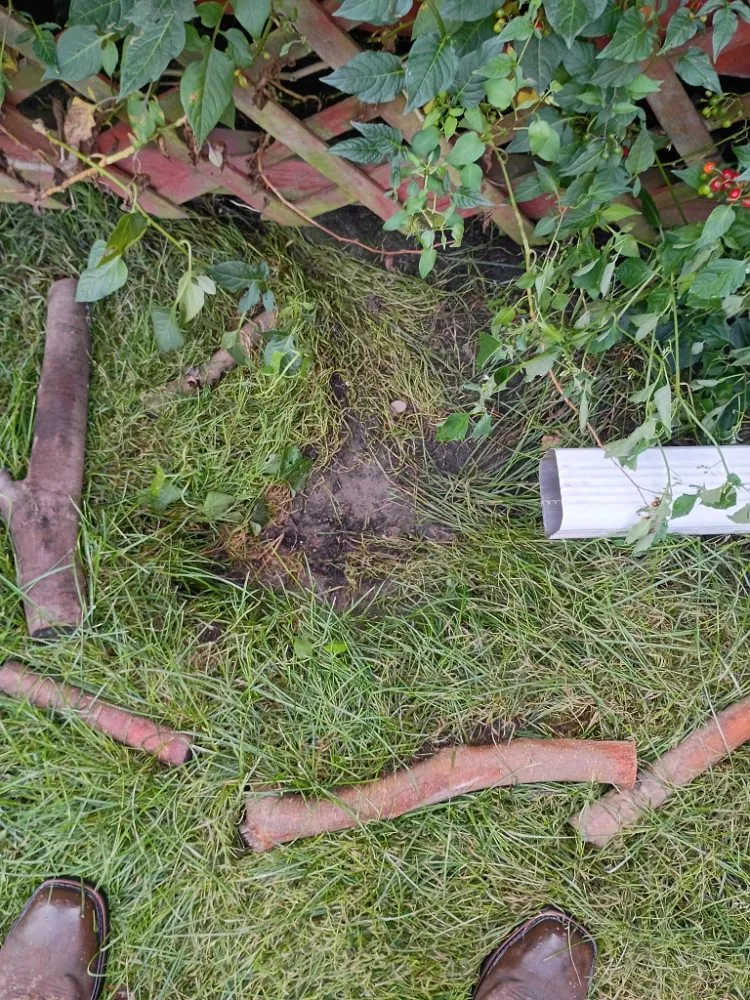 Custom landscape design in Homewood, IL by Jon's Landscaping