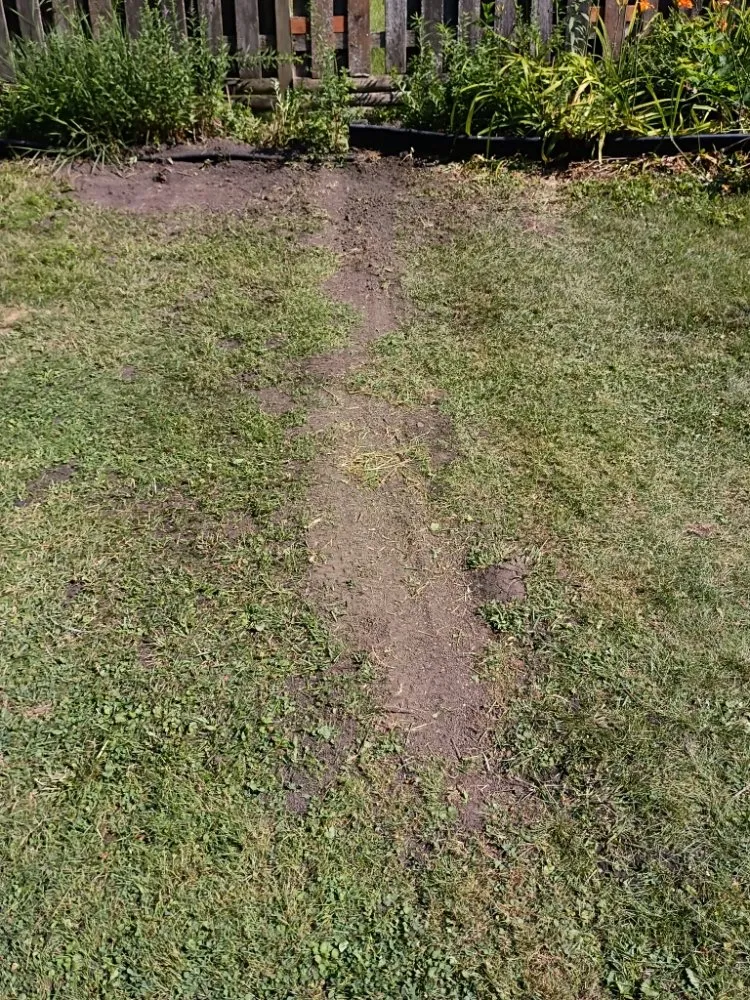 Custom landscape installation for outdoor upgrades across Homewood, IL - Jon's Landscaping