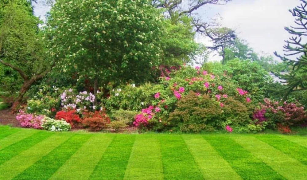 Local landscape design for year-round maintenance in Toms River, NJ by Jon's Landscaping