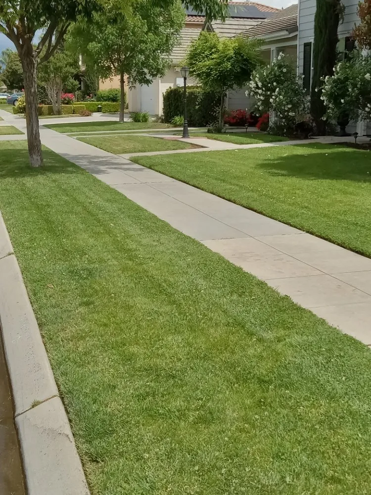 Local landscape installation for beautiful yards across Fresno, CA - Jon's Lawn Service