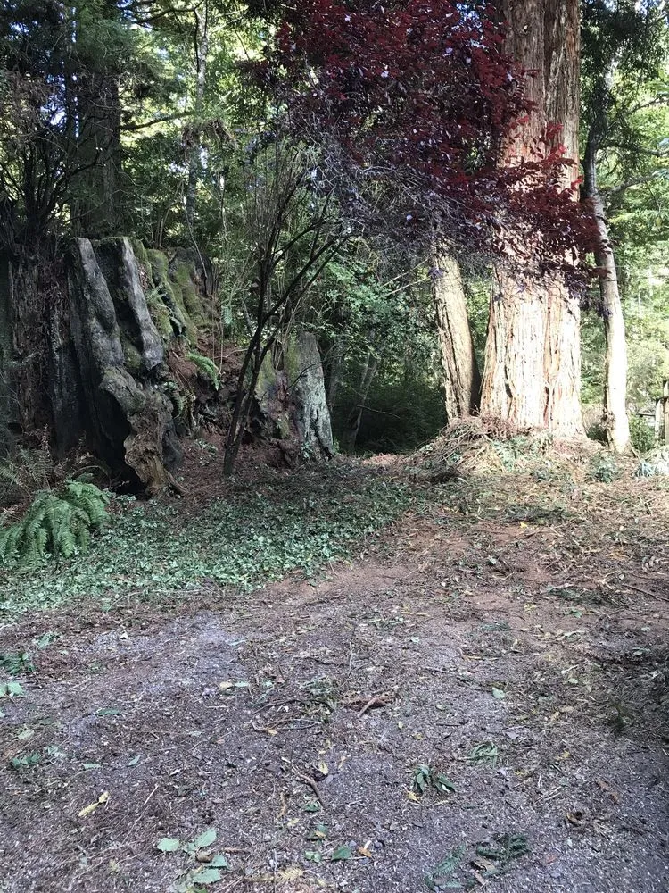 Top-rated landscape installation in Trinidad, CA by Jon's Lawns & Gardens