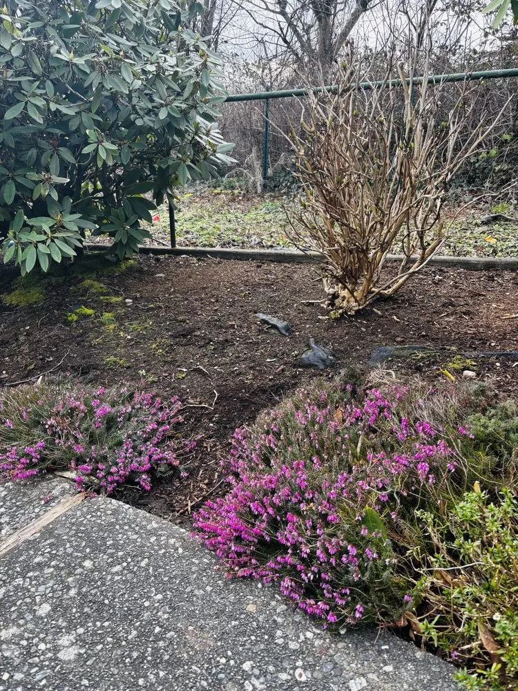 Expert landscape installation for year-round maintenance across Bellingham, WA - Jons Lawns