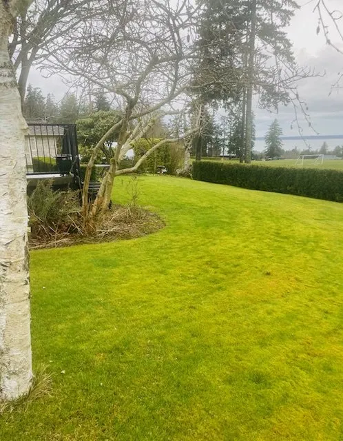 Professional yard maintenance for residential properties in Bellingham, WA by Jons Lawns