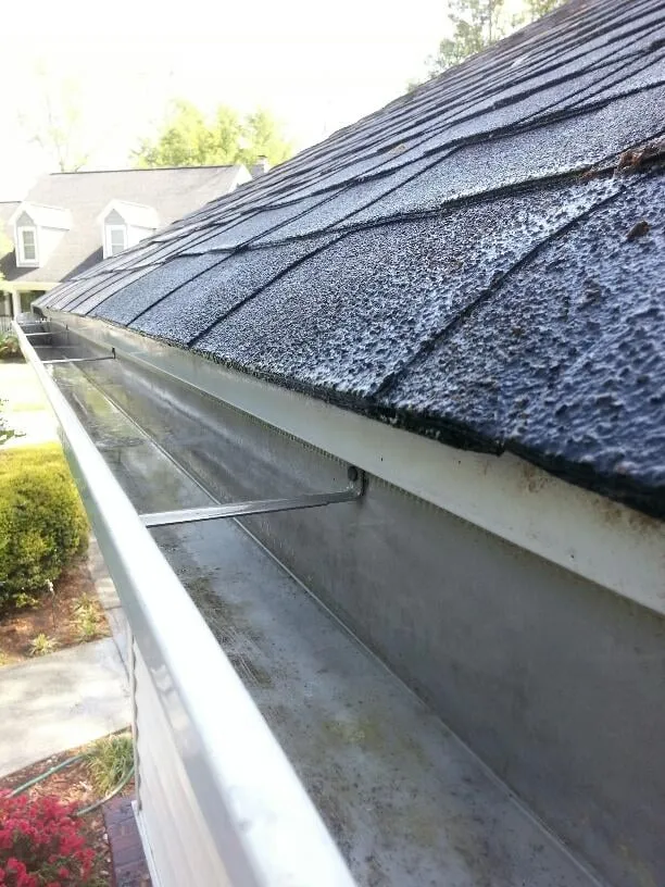 Professional landscape design in North Charleston, SC by Jon's Lawns