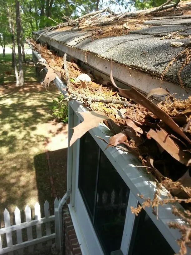 Professional yard cleanup service in North Charleston, SC by Jon's Lawns