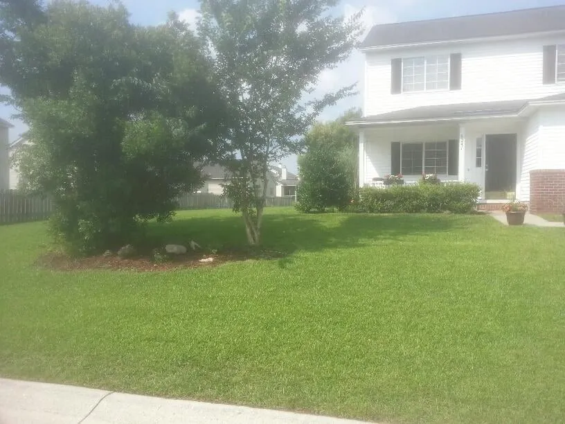 Reliable landscape installation near you in North Charleston, SC by Jon's Lawns